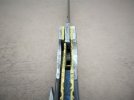 blue mammoth front flipper 004.JPG blue mammoth front flipper 004.JPG