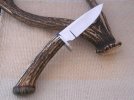 Knife Hunter #168 Sambar ATS34 OBVERSE ok BF.jpg