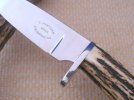 Knife Hunter #168 Sambar ATs34 LOGOGUARDSTAG.jpg