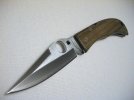 Jess Horn lignum ZDP by STR.jpg