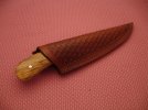 DSC00533.jpg