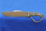 Busse FBM3.jpg