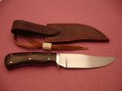 DSC00544.jpg