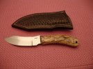 DSC00550.jpg