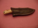 DSC00553.jpg