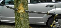 stuck in tree 1a.jpg
