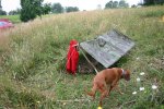 IMG_3175_.jpg