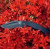 Kukri#1.JPG Kukri#1.JPG