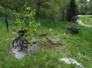DSCF5408 HIGH ROCKERY WHEELBARROW TO S 650 MED.jpg
