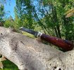 0423191645_HDR_720.jpg