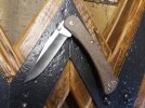 Buck 110 slim pro brown (2).jpg