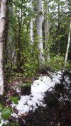 20190607_171219-734x1305.jpg