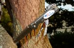 Inkosi_NumberedCF-TreeVotingDay.jpg