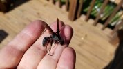 20170916_152319.jpg