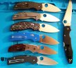 sage series b.jpg