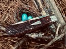 IMG_0337.jpeg