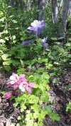 20190619_134046-734x1305.jpg