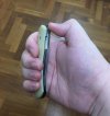 Front Flipper Grip.jpeg