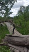 20190623_144229(0)-1494x2656.jpg