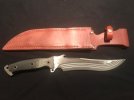 Busse Silent Knight 2.jpg Busse Silent Knight 2.jpg