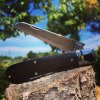 Waynorth_ebony_01.jpg