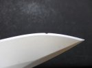 Chip 3.JPG