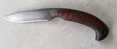 Winkler L.jpg