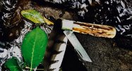 IMG_1855.jpeg