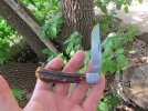 w2 & amber stag slipjoint 022.JPG