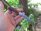 w2 & amber stag slipjoint 026.JPG