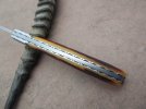w2 & amber stag slipjoint 006.JPG