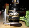 Nf77Barlow.modelo.negra.jpg