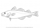 how-to-draw-Atlantic-Cod-step-0.png