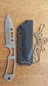 CSAR-T Liason with sheath.jpg