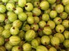 Goose berries.jpg