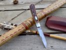 GEC 74 Mustang - 1.jpg