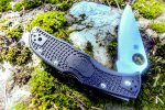 SpydercoAEndela-2.jpg