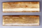 SwordfishScales_0001_small.jpg