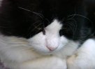 DSC01219.jpg