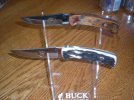 buck 03.jpg