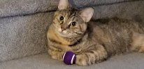 pepper5.jpeg