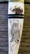 leg.scrimshaw&stag.jpg