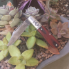 Screenshot_2019-07-14-11-51-21-1.png
