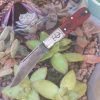 Screenshot_2019-07-14-12-06-29-1.png