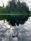IMG_7949.jpg
