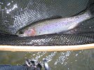 Fishing 2010 006.jpg