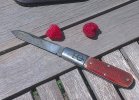 R-15-framboises1.jpg