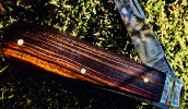 IMG_0016.jpeg