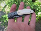 mammoth & snakeskin 036.JPG