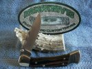 Buck 110 NS 486 Drop Point #2.jpg